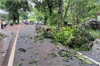 Vittla: Tree, electric pole fall on moving car; couple escapes unhurt